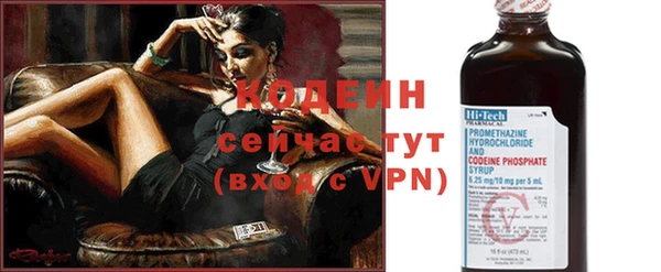 гидра Бородино
