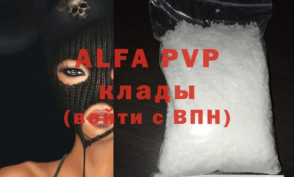 гидра Бородино