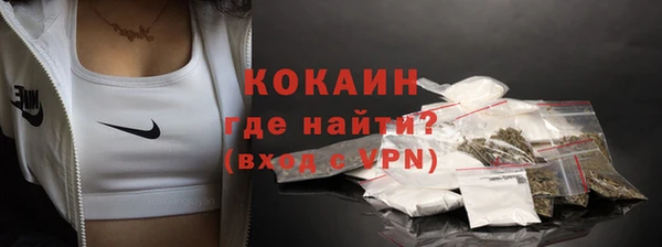 гидра Бородино