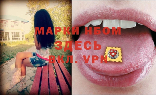 гидра Бородино