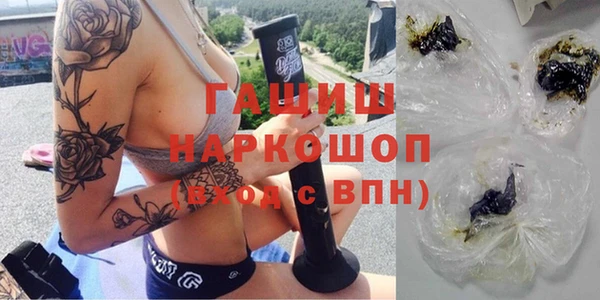 гидра Бородино