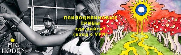 бошки Бугульма