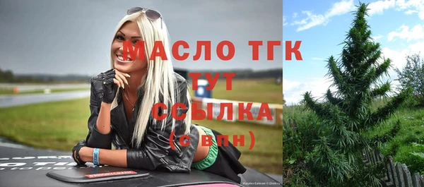 гидра Бородино